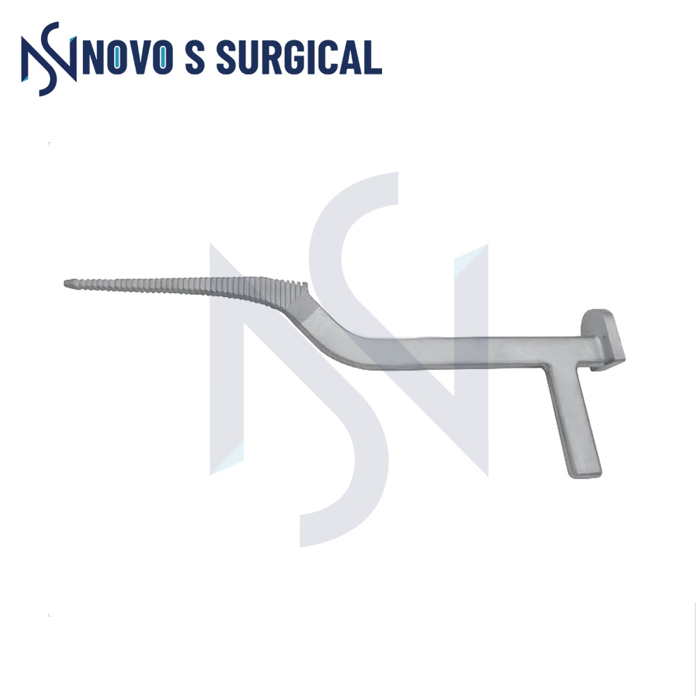 Hip Prosthesis